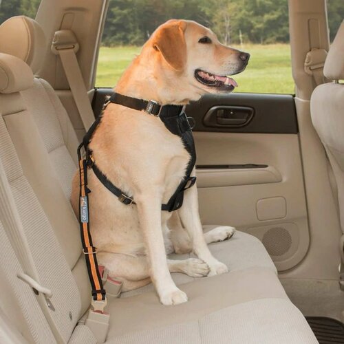 Kurgo Bezpečnostní pás pro psa do auta, oranžová