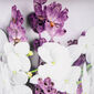 Kbelík s dekorem 10 litrů, orchidej