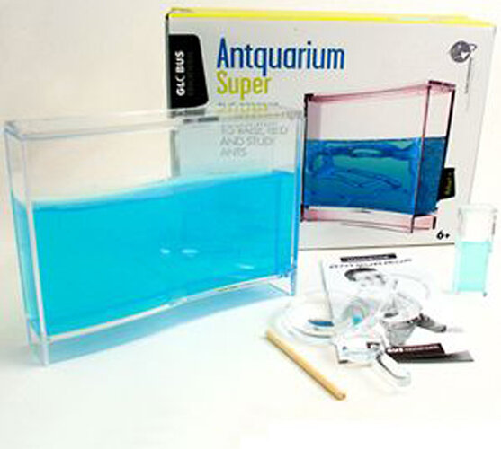 Mravčie akvárium - Antquarium, transparentná