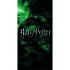 Prosop Harry Potter Magic, 70 x 140 cm