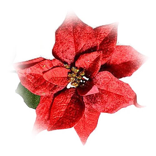 Trandafir de Crăciun, din catifea, roșu, 20 cmx 65 cm