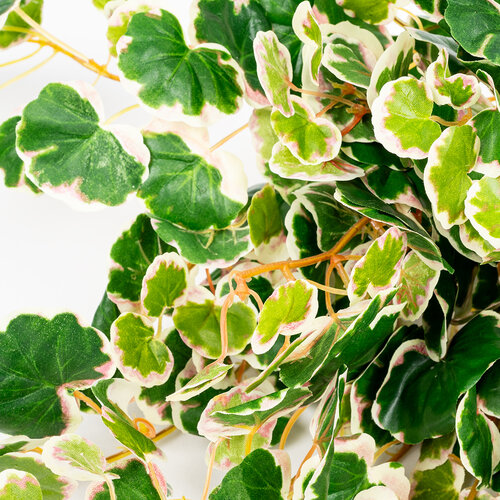 Umělá Saxifraga závěsná dekorativní rostlina, v. 50 cm