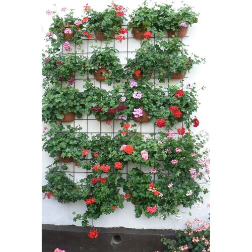 Plastia Samozavlažovací květináč na zeď Siesta šedá, 29 cm