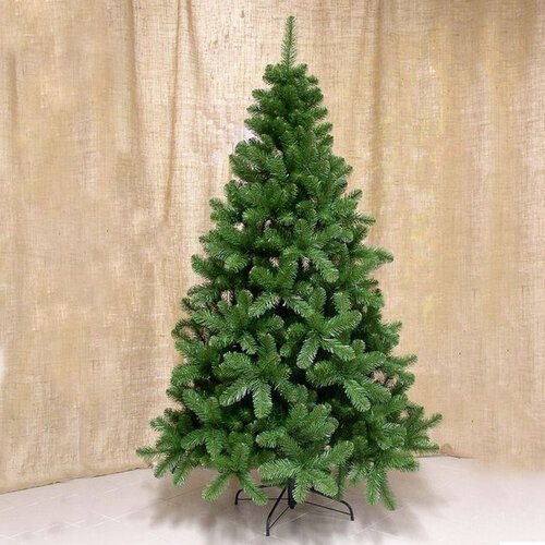 Vianočný stromček jedľa balzamová 180 cm