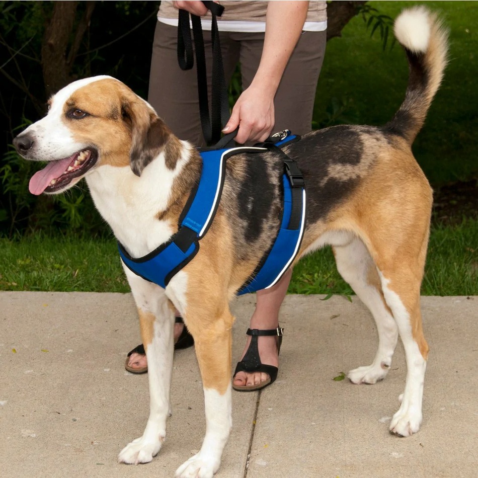 PetSafe Postroj EasySport červený L - thumb (1)