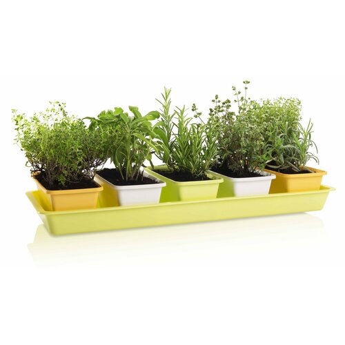 Gardenico Mini-Gartenbox-Set 5 St., 60 cm