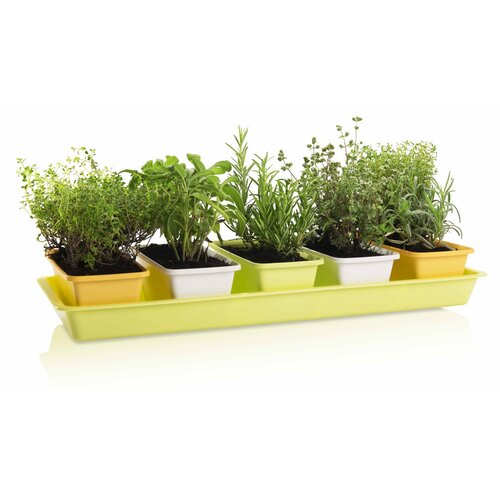 Gardenico Set of 5 Mini Garden Planter Boxes, 60cm
