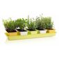 Gardenico Набір ящиків для квітів Mini Garden 5 шт., 60 см