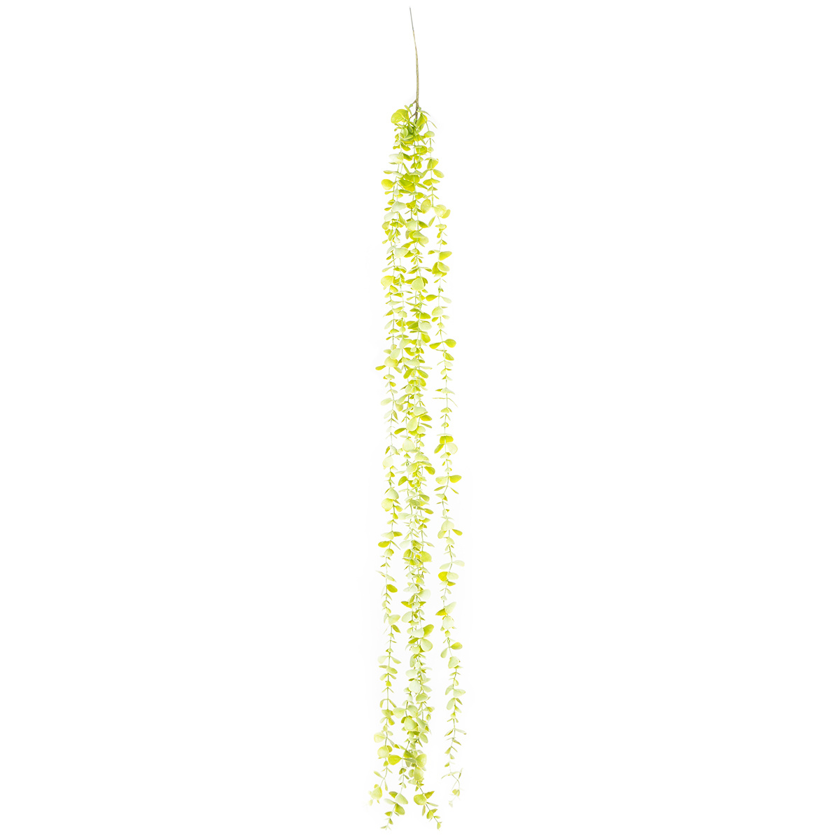 Műcserje Eukaliptusz, világoszöld, 120 cm,műcserje termék 2. képe