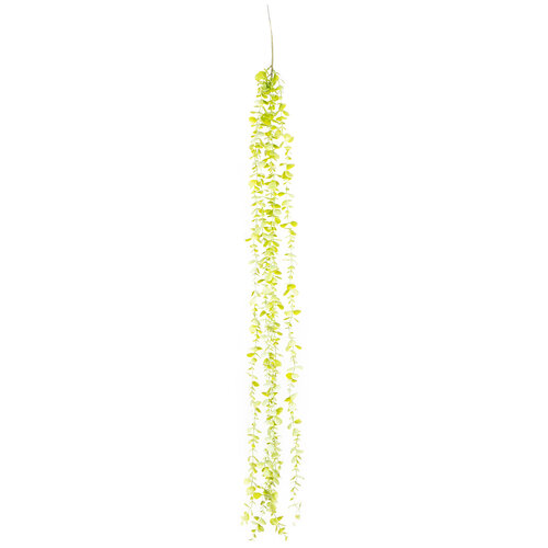 Műcserje Eukaliptusz, világoszöld, 120 cm,műcserje