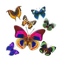 Самолепічі декоративні Метелики, 30 х 30 см