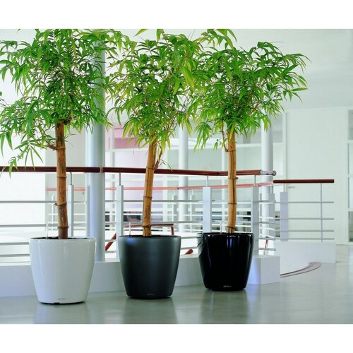 Lechuza Classico LS 43 plastikowa doniczka