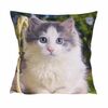 Kopfkissenbezug Katze, 40 x 40 cm