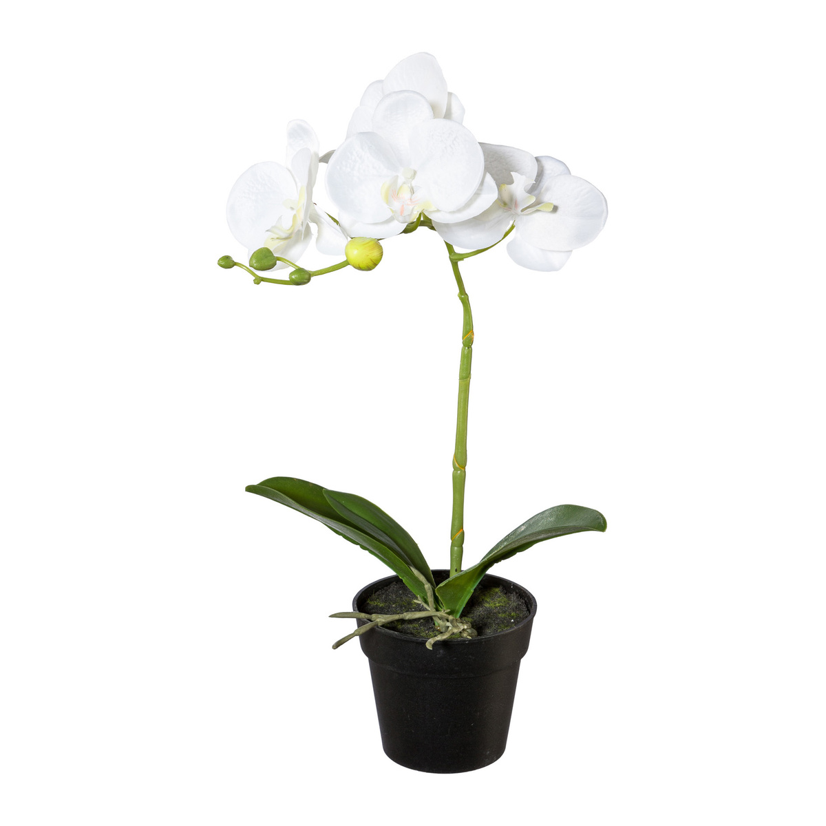 Umělá Orchidej v květináči bílá, 37 cm
