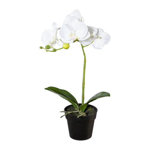 Sztuczna orchidea w doniczce biały, 37 cm