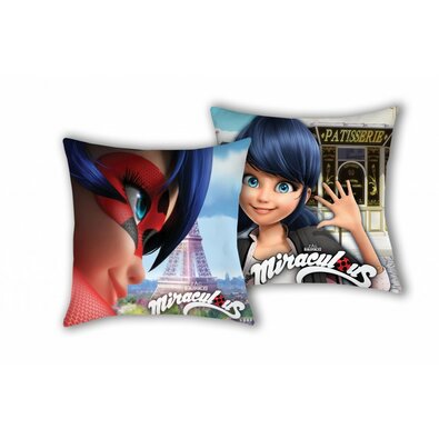 Pernuță Miraculous cu două fețe, 40 x 40 cm