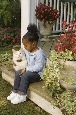 PetSafe® Deluxe elektromos kerítés macskáknak