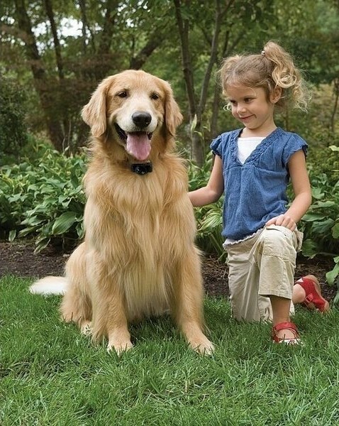 PetSafe® Elektrický ohradník pro psy Basic