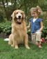 PetSafe® Elektrický ohradník pro psy Basic