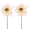 Набір різдвяних троянд на стеблі, 2 шт., кремовий,