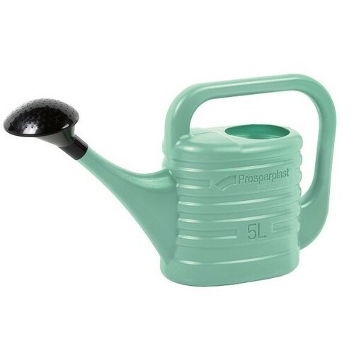 Konev Zebra salvija, 5 l