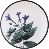 Sada 6 kameninových mělkých talířů Herbal 25 cm