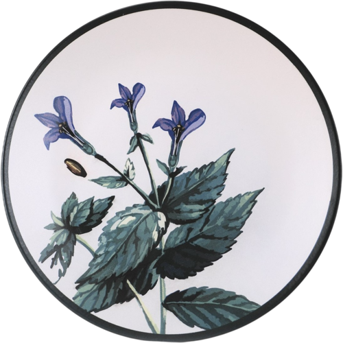 Herbal 6 db-os kőagyag lapostányér szett 25 cm