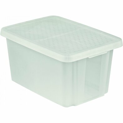 Cutie de depozitare Curver Essentials cu capac 45l, transparentă