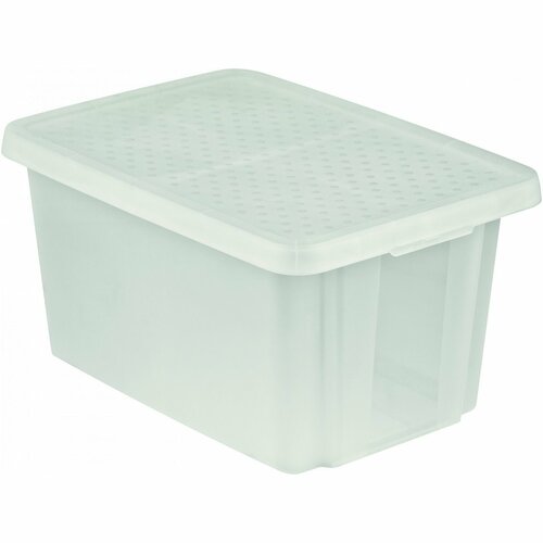 Curver Cutie de depozitare Essentials  cu capac 45l, transparentă