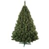Vianočný stromček Borovica, 160 cm