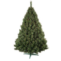 Vánoční stromek Borovice, 160 cm