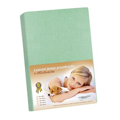 Bellatex Jersey простирадло з еластаном світло-зелений, 200 x 220 см