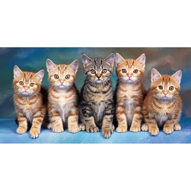 Macskák törülköző, 70 x 140 cm
