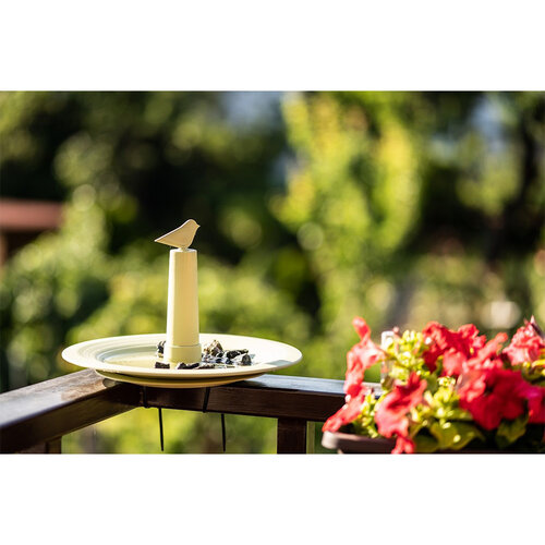 Plastia Zalivalka za ptice Finch, siva