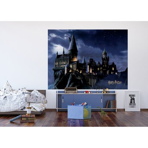Fototapeta dziecięca Harry Potter 252 x 182 cm, 4 części