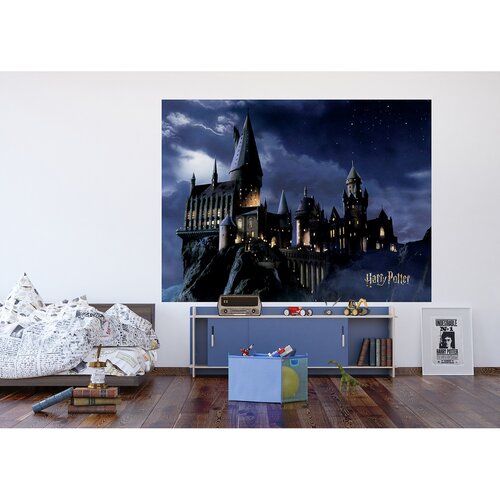 Otroška fototapeta Harry Potter 252 x 182 cm, 4deli