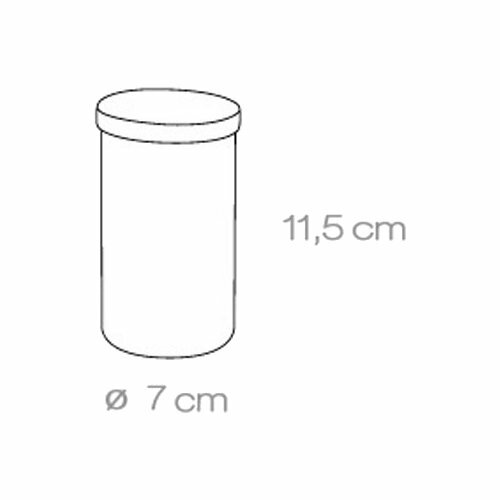 Tescoma Gewürzdose FIESTA, 0,2 l