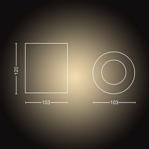 Philips Hue 56330/31/P9 LED lampa punktowa 5,5 W, biały