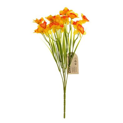 Narcis žlto-oranžový, kytica s 15 kvetmi, v. 32 cm