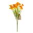Narcis žlto-oranžový, kytica s 15 kvetmi, v. 32 cm