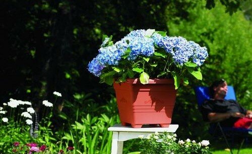 Plastia Blumentopf Begonia 60 x 60, Braun