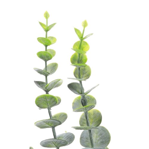 Umetna rastlina Eucalyptus zelená, 19 x 19 x 39 cm