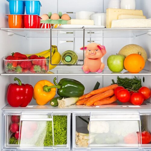 Orion Prašiček za hladilnik