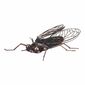 Metalowa dekoracja ogrodowa Fly, 36 x 28 x 9 cm
