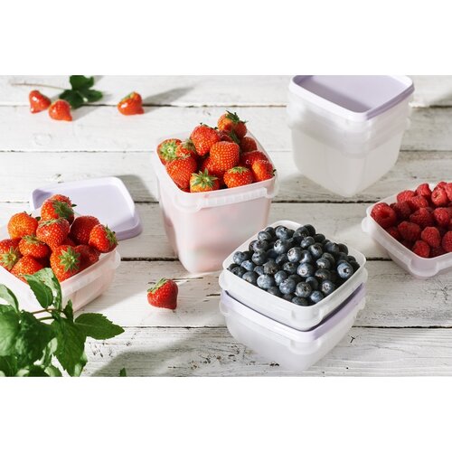 SmartStore Zestaw plastikowych pojemników Freezer 2 szt., lawenda, 1200 ml