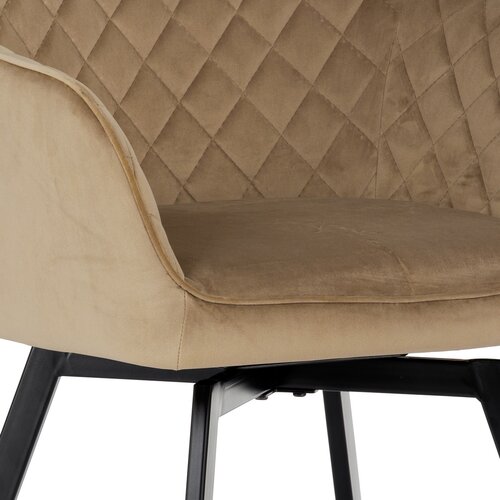 Esszimmerstuhl-Set DCH-425 CAP4, 2 Stück