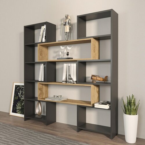Knihovna Poyraz Black and Oak