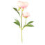 Sztuczny kwiat Piwonia jasnoróżowa, 58 cm