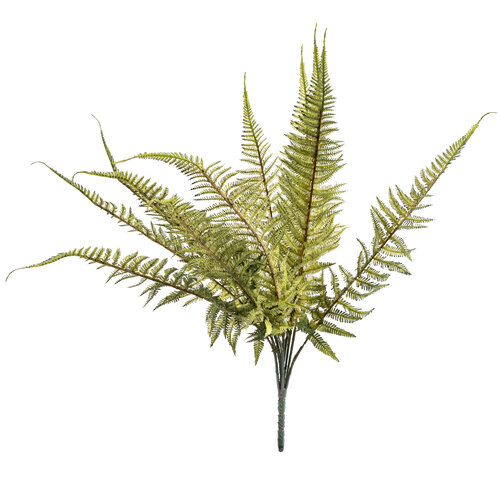 Umetne praproti, 11 listov