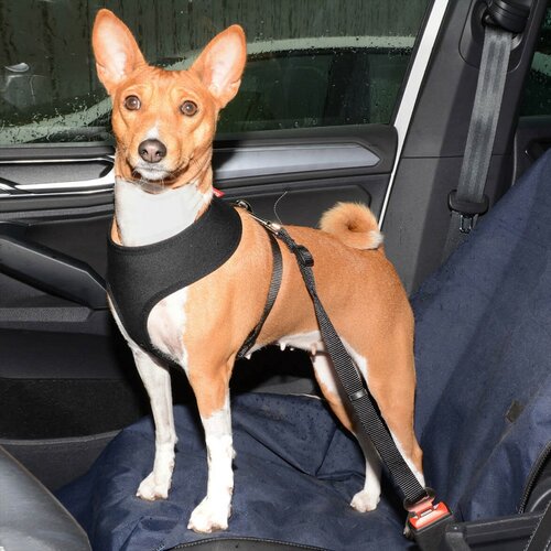 Tommi Неопреновий ремінь безпеки для автомобіля M, чорний